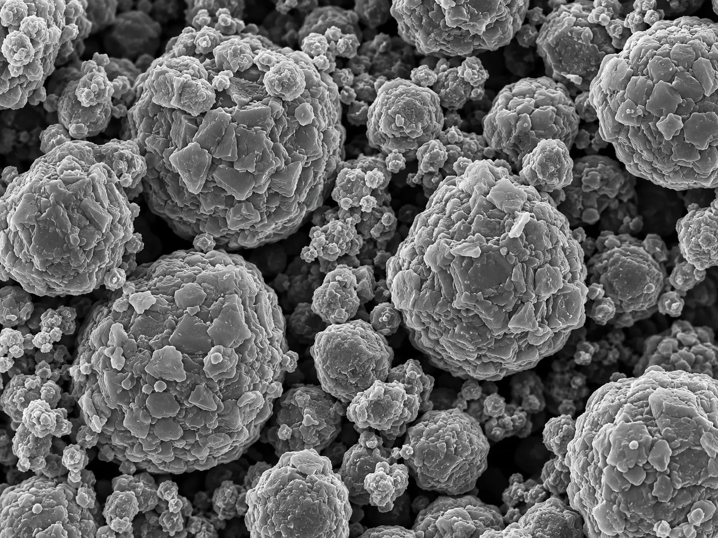 FESEM micrograph of battery powder particle morphology and agglomeration