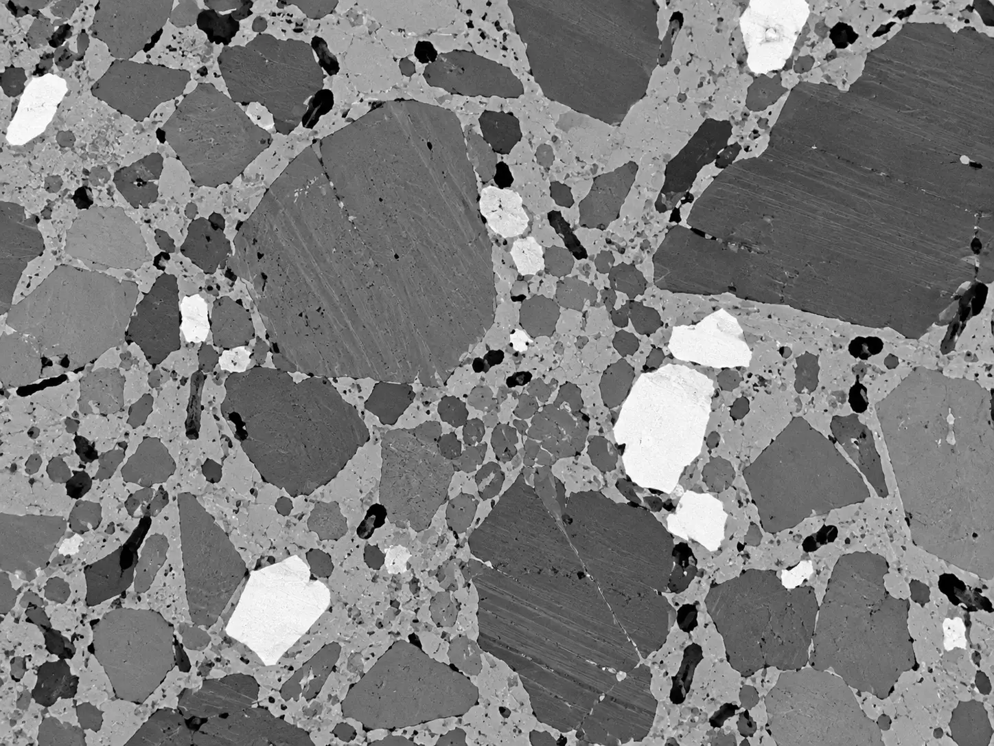 BSE FESEM micrograph showing phase contrast and inclusions in a polished alloy