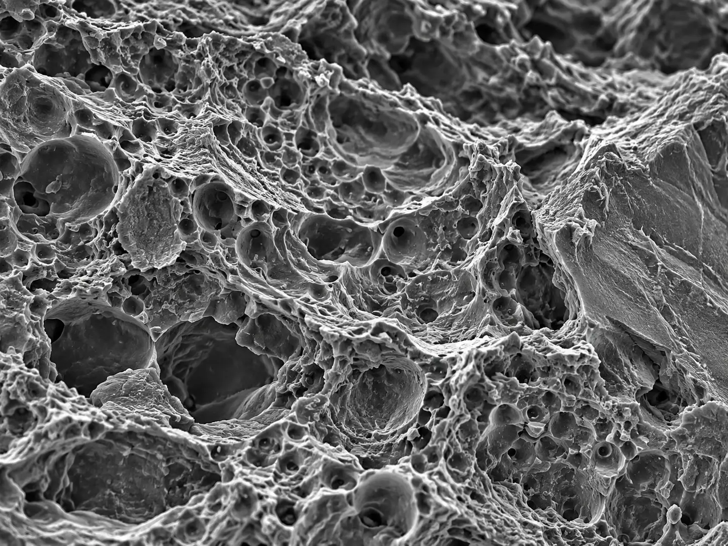 FESEM surface micrograph for microscopy and imaging
